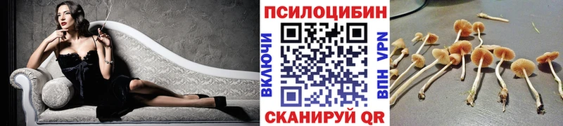 Купить закладки  Орёл  Псилоцибиновые грибы мухоморы 