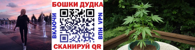 Канабис планчик  Купить  Орёл 